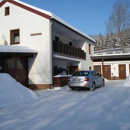 Haus Steinwaldblick Leilighet Bernlohe  Eksteriør bilde